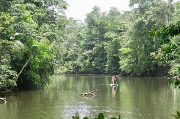 kayak dans la jungle